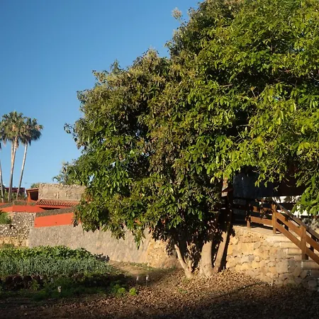 Apartamento Pico Los Realejos