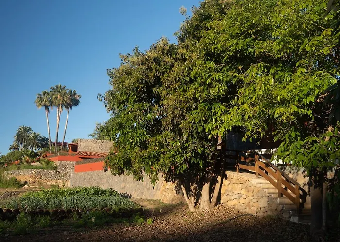 Apartment Pico Los Realejos